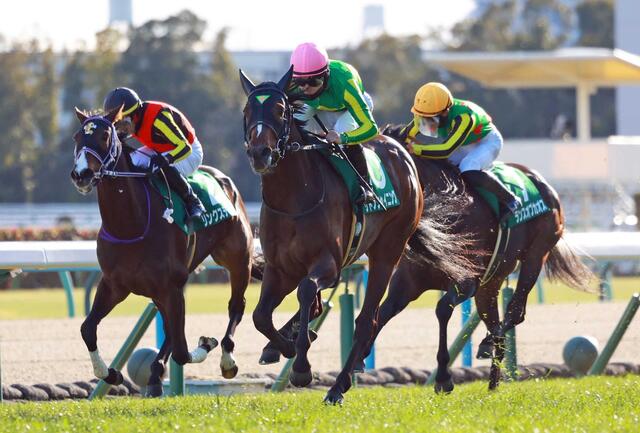 【きさらぎ賞】サトノシャイニング、重賞初制覇！春へ期待膨らむ圧巻の 3 馬身差