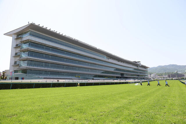 阪神競馬場の全面改修と新馬場の特徴