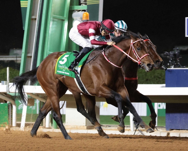 【サウジカップ】フォーエバーヤングが日本勢 2 年ぶりの優勝！坂井瑠星騎手の雄叫びに感動