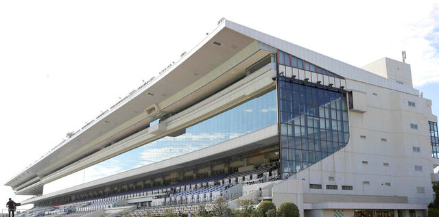 京都競馬場の積雪による中止と代替開催の詳細