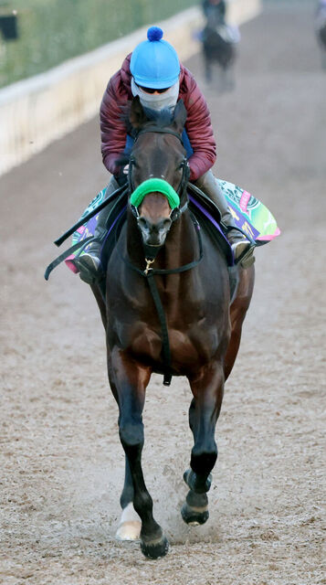 【フェブラリーＳ】武蔵野Ｓ勝ち馬エンペラーワケア、距離不安一掃の快勝劇！