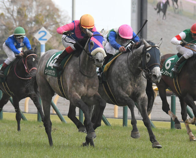 競馬のびっくり配当ベスト３！最低人気馬が優勝