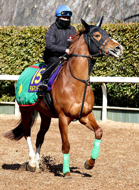 【フェブラリーＳ】音無調教師のラストＧ１に弟子が恩返しの勝利