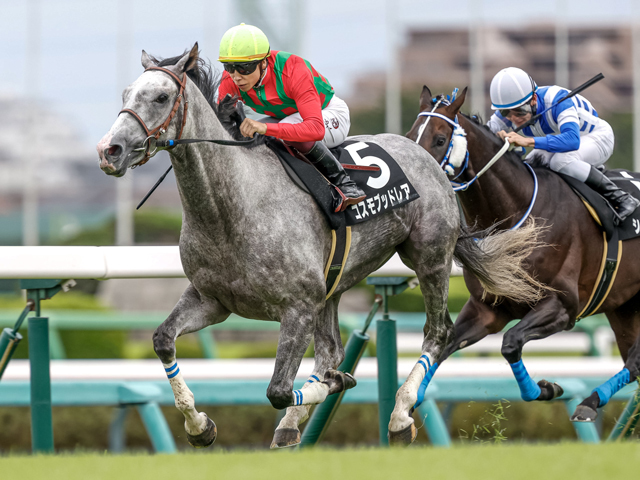 小倉大賞典の見どころと有力馬