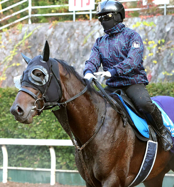 【小倉大賞典】ダート 6 戦 5 勝馬が初めて芝に挑戦　トップハンデタイも斉藤崇調教師「想定通りです」