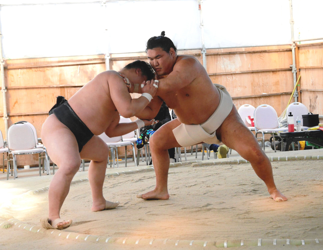 新横綱豊昇龍、納得の稽古再開！多彩な動きで魅了