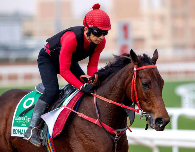 【サウジＣ】香港最強馬の戦いへの意気込みと展望