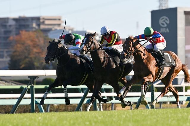 弥生賞ディープインパクト記念：2 戦 2 勝のヴィンセンシオとナグルファルが重賞初挑戦