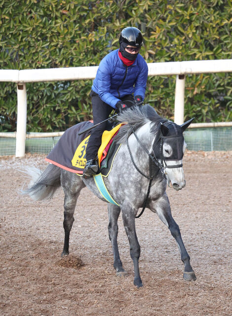 【注目馬動向】重賞 2 勝馬テイエムスパーダが小椋厩舎へ転厩