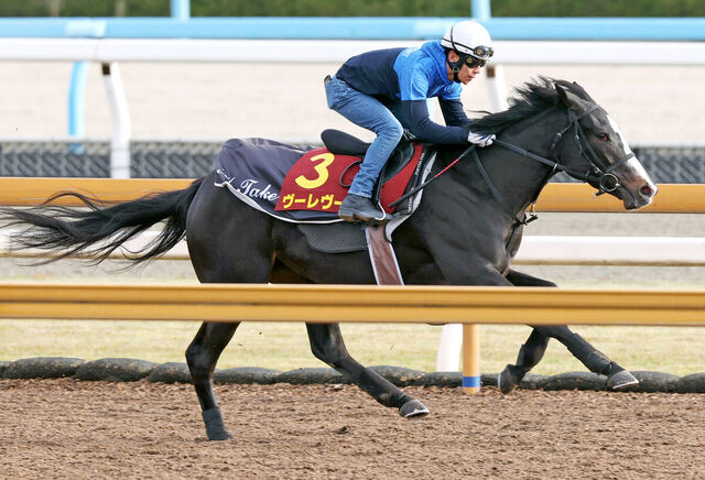 【2025年桜花賞】史上初の混戦！京都組からの刺客ヴーレヴーに注目