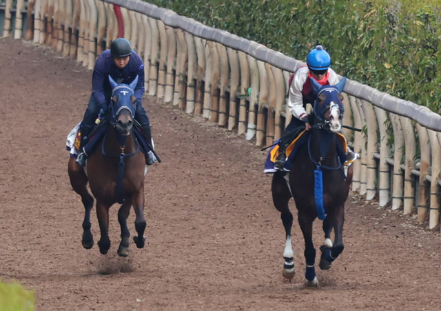「桜花賞」ブラウンラチェットの逆襲の道