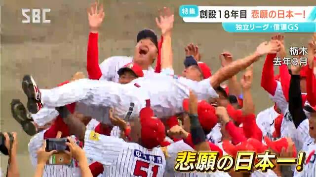 「信濃グランセローズの輝きと苦闘」