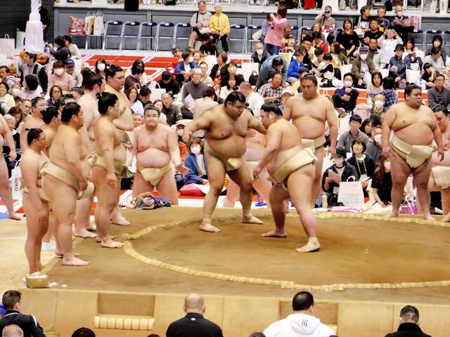 高安、春巡業で心境を明かす！夏場所への意気込み