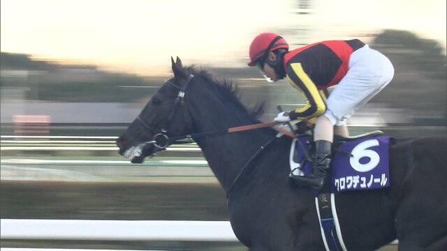 【皐月賞2025】絶対王者クロワデュノールが挑む無敗のクラシック3冠制覇