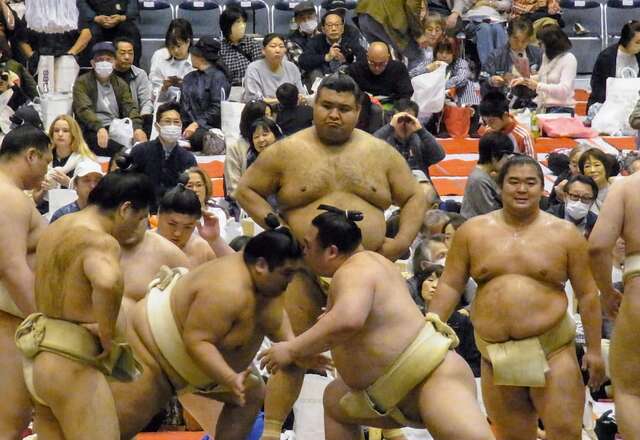 高安、腰痛からの復帰で大相撲春巡業で活躍！