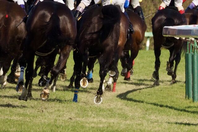【阪神牝馬S】サフィラの輝きと松山弘平騎手の喜び