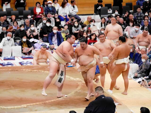 大相撲春巡業：琴桜の逆襲への決意と夏場所への挑戦