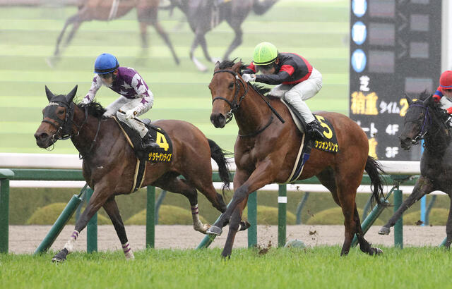 サヴォンリンナが直線勝負で忘れな草賞を制覇！田中克師が語る勝利の秘訣