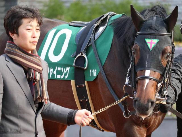 2025年皐月賞レース予測：注目の2番人気馬と勝率データ