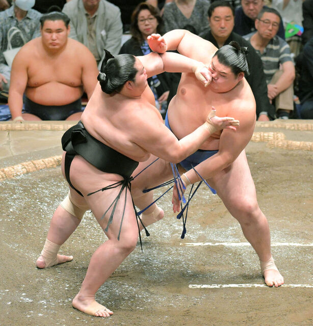 大相撲新時代の幕開け：大の里、横綱としての圧倒的強さとスピード