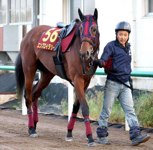 エンブロイダリーのオークス挑戦：距離延長とモレイラ騎手の信頼