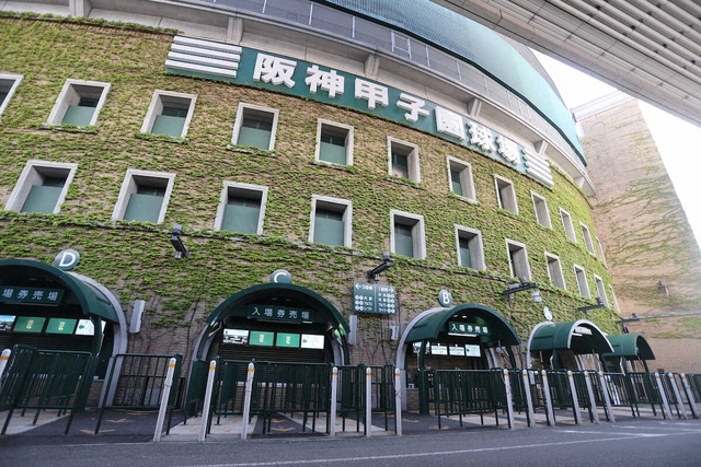高校野球の未来を考える：7回制導入の是非を一般ファンに問う