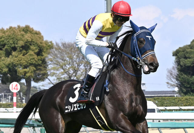 【2025年最新版】土曜午後の競馬必勝馬ベスト3！データ分析で勝つ