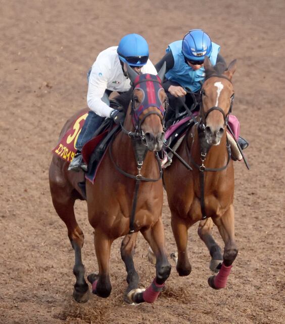 【オークス2025】エンブロイダリー完璧仕上げ！ルメール騎手の確信の勝利宣言