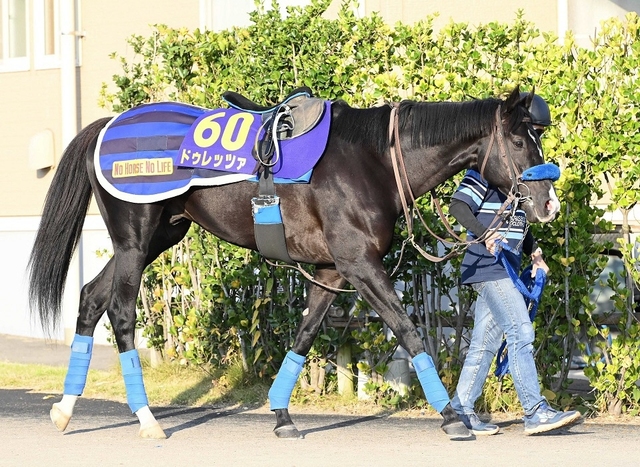 【宝塚記念特集】ドゥレッツァの戦略的調整と夏のGI馬動向を徹底分析
