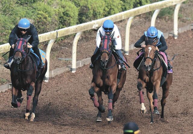 エンブロイダリー、オークス2冠へ完璧な追い切り！ルメール騎手も絶賛