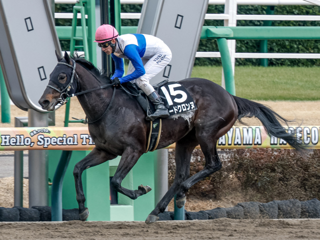 【平安ステークス2025】注目馬ロードクロンヌのダート転向後の驚異的な成績と競馬ファン必見の見どころ