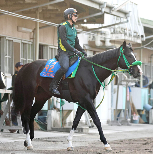【平安Ｓ・京都競馬場】ブライアンセンスの３連勝への挑戦！斎藤誠調教師の戦略と岩田望来騎手の信頼
