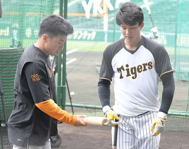 阪神・森下翔太が巨人・浅野翔吾にバットを贈る：令和の野球ファンが感じる新たなスポーツマンシップ