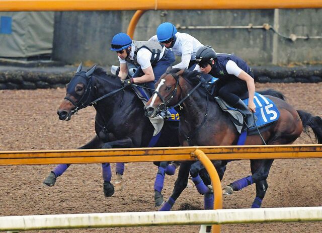 【日本ダービー直前】ショウヘイが頂点を目指して躍動、ルメール騎手も絶賛
