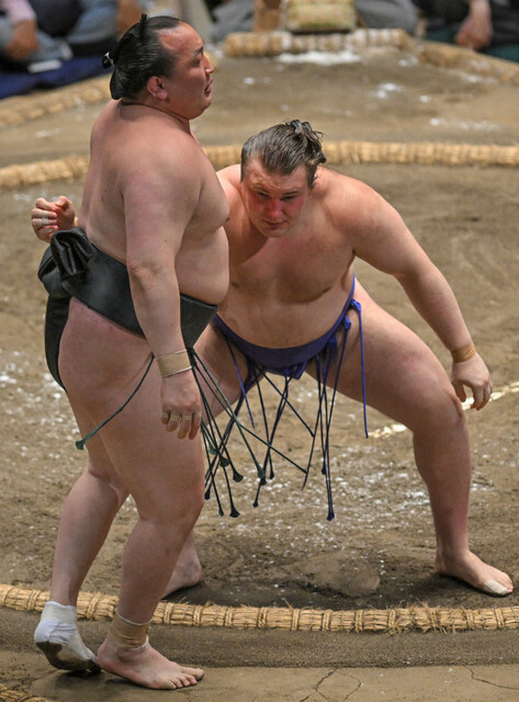 ウクライナ出身・安青錦が大相撲夏場所で8連勝！業師の薫陶で連続勝ち越し