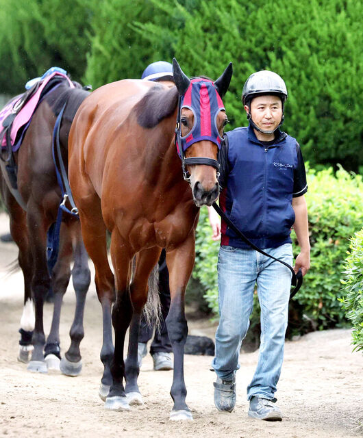 【第86回オークス】エンブロイダリーが歴代最多11勝の9番枠を獲得！牝馬クラシック2冠への挑戦