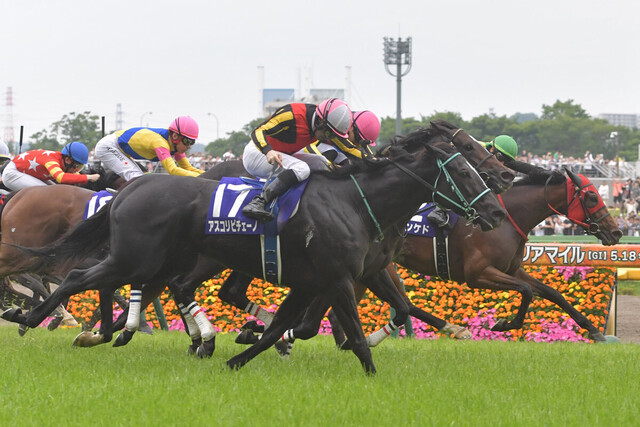 【2025年ヴィクトリアマイル】アスコリピチェーノの圧倒的勝利と牝馬GⅠの真価