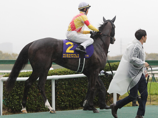 【競馬予想】オークス勝者は誰か？ ３歳牝馬ランキングで読み解く
