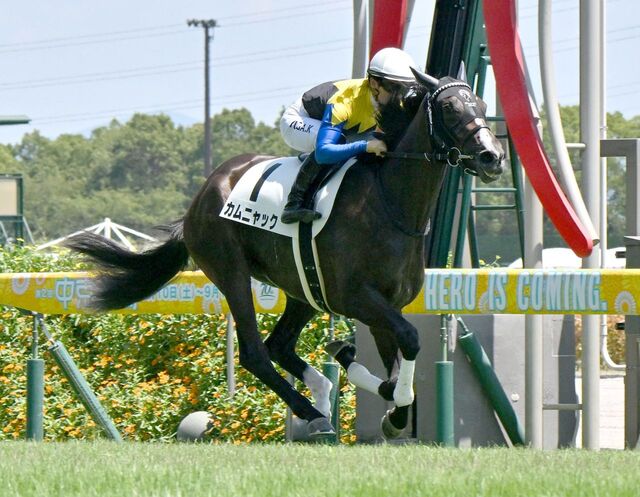 【第86回オークス】カムニャックが東京の舞台でG1制覇を目指す！友道厩舎の期待の馬