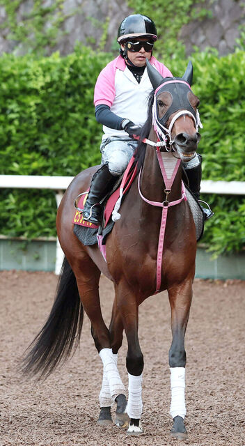 【オークス】桜花賞組とキングカメハメハの血統が期待されるビップデイジーの波乱予想