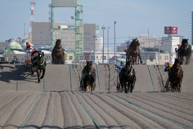 「範馬刃牙」×ばんえい十勝：地上最強のコラボレースが帯広競馬場で開催！