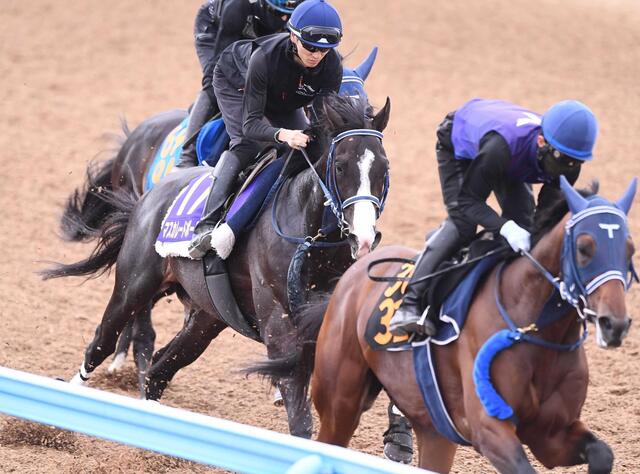 【日本ダービー】マスカレードボール、坂井騎手との再結成で頂点へ！