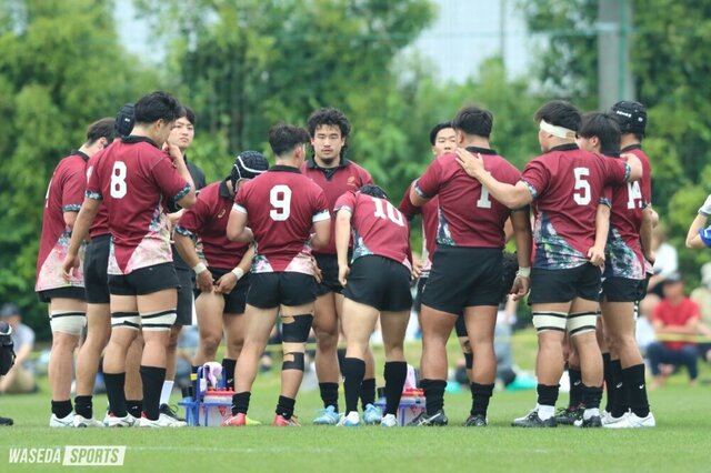 早稲田大学ラグビー部、京都産業大学に圧勝！今週の早慶戦に注目