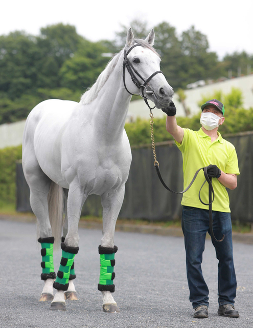 ガイアフォースとブレイディヴェーグが安田記念へ向けて準備万端！最新競馬情報