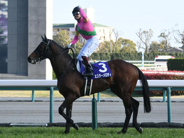 スキャットダディの血統が生み出す競馬界のスターたち