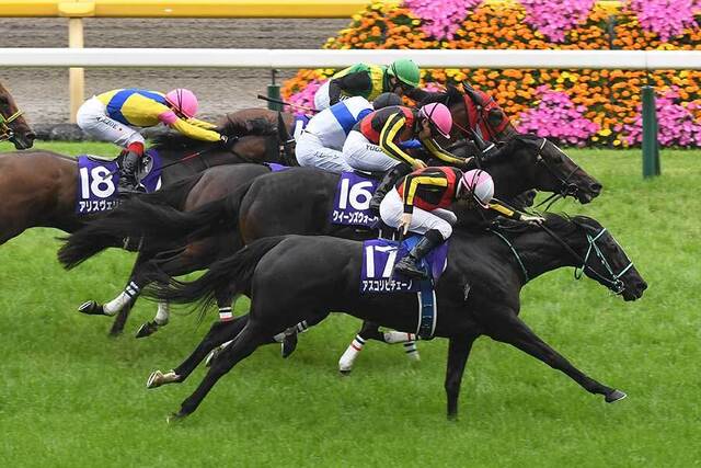 G1ヴィクトリアマイル優勝！ルメール騎手のチャーミングな舞台裏映像が話題に