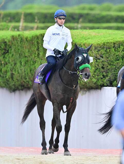 武豊とサトノシャイニングが挑む歴史的快挙！第92回日本ダービーで世界初の偉業を目指す
