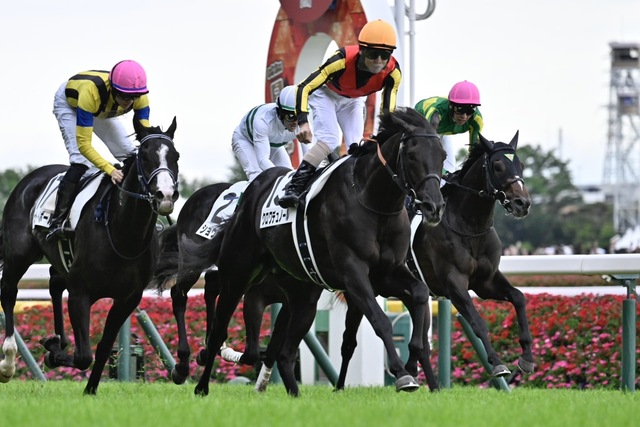 北村友一騎手とクロワデュノールの日本ダービー制覇：馬と騎手の信頼が生んだ奇跡