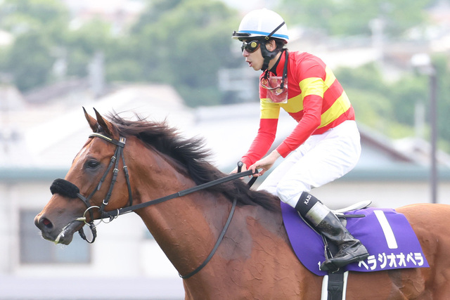 【宝塚記念2025】ベラジオオペラ、厳しい条件で銀メダル獲得！競馬ファン必見の熱戦レポート