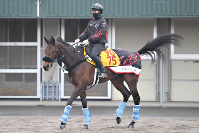 【2025年府中牝馬ステークス】フィールシンパシーの復活！自在性で重賞初勝利を目指す
